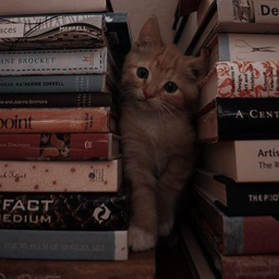♡︎