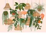 The plant fan group