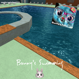 bunnys swimming
