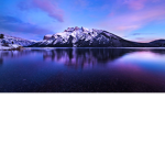 Nice lands