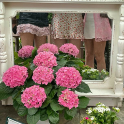 ♡