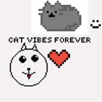 The Catz Squad