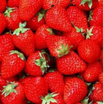 The Great Strawberries