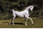 Unicorn YAAAASSS