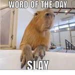 SussyImposterSquad