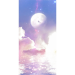 Ssophia