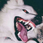 foureign