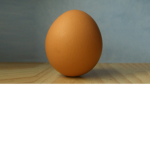 united group of eggs