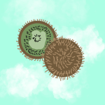 kiwi people!
