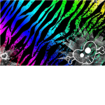 Rainbow Zebra Gymnastic Team