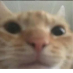 DONATIONS HQ