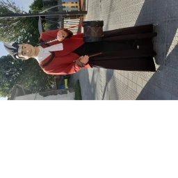 Gigantes gira gira icon