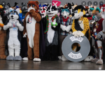 FURRY IS <3 Kingdom!