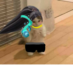 MiniTyli1 Studios