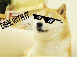 Doge hangout