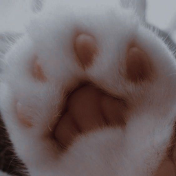 ♡︎