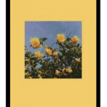 Aestheticxxhoney