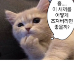 병m mk m신 들만
