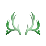 Green Light Antlers