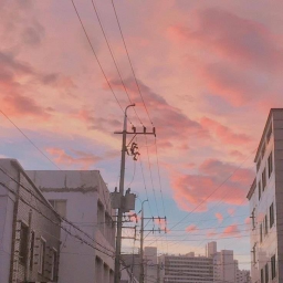 🍥
