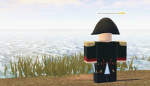 Napoleonic Relations