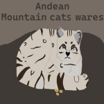 Andean mountain cats wares