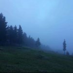 șin