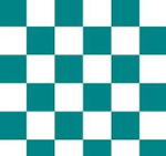 THE WOID (color place)