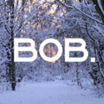 BOB [Roblox Game]