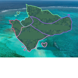 FLOPTROPICA