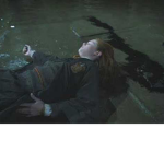 Ginny Assassins