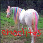 choclitos club