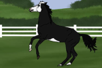 • WHS • Twilight Livery Stables •