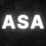 ASA | Anti Slender Army