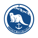 7th Maritime Strike Brigade