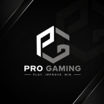 Pro Gaming Studio Development