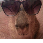 CAPYBARA OK I PULL UP FAN GROUP
