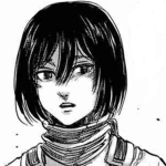 mikasa stanss