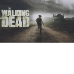 TWD Fan Group