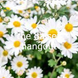 the daisez's hangout