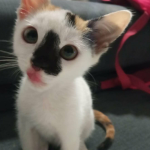 Its. Linda