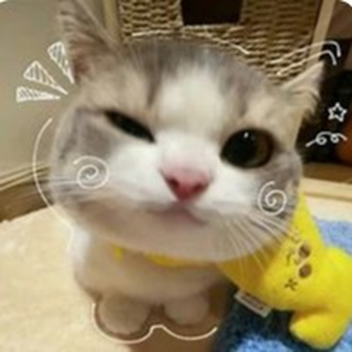 Obby to Get Mcdonald's