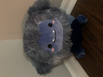 big blue dani