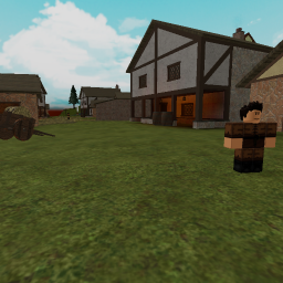 the village