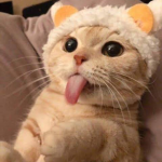 mimifawnx