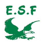 Elite Special Force™