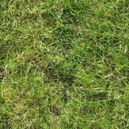 Don't TOUCH GRASS [Christmas Update]