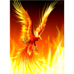 PHOENIX FIRE BIRDS