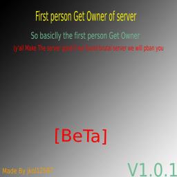 First person Get Owner of server