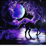 Midnight Unicorns Squad